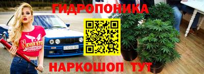 соль ск Тулун