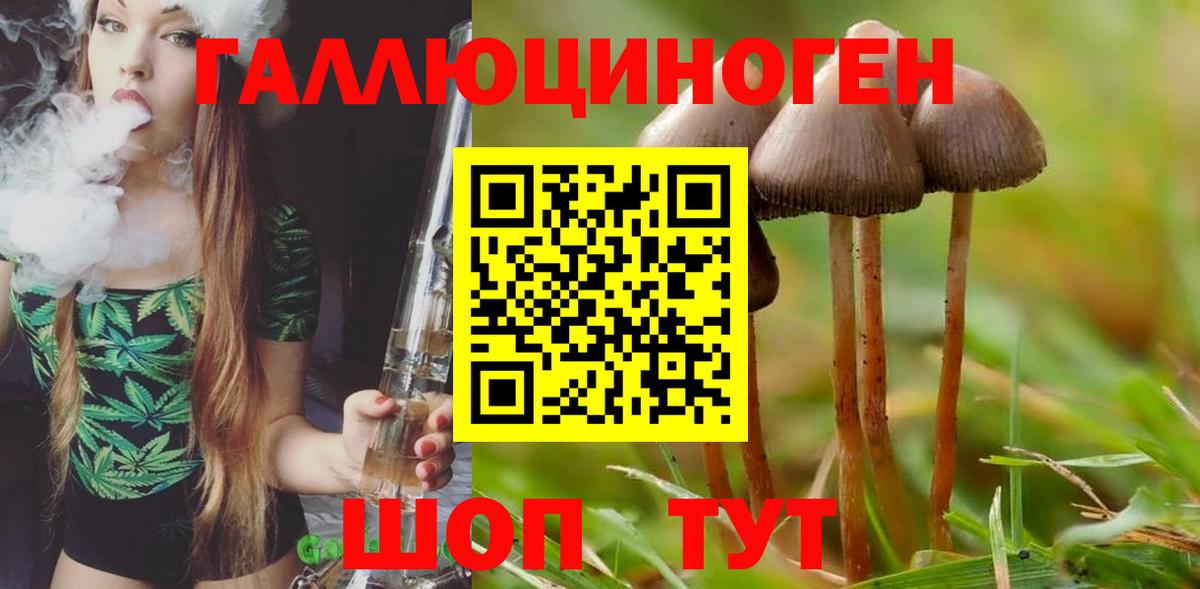 Псилоцибиновые грибы Magic Shrooms  Псилоцибиновые грибы GOLDEN TEACHER  Осинники  Вход с VPN 